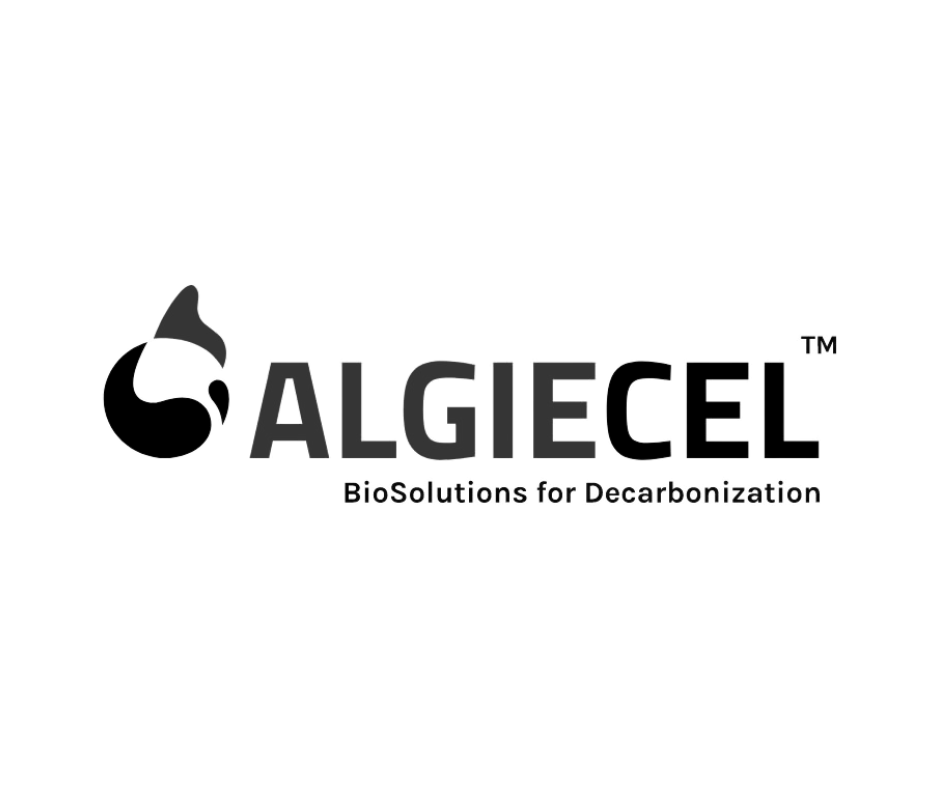 Algiecel